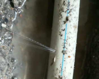 兴宁卫生间测漏水多少钱